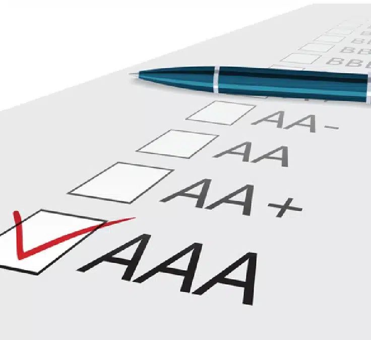 What are ratings and why are they important for companies and governments?