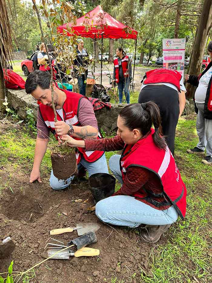 Reforestación méxico_Parque ecológico