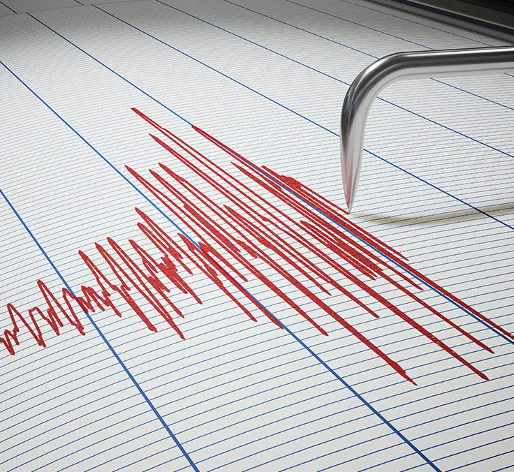 Detecting earthquakes now possible thanks to google