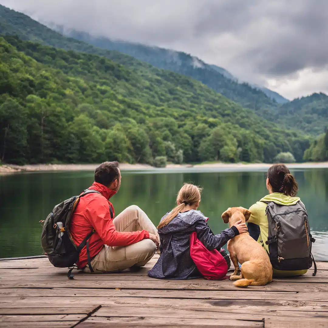 Seguros de vida: un mosaico de coberturas para tu tranquilidad