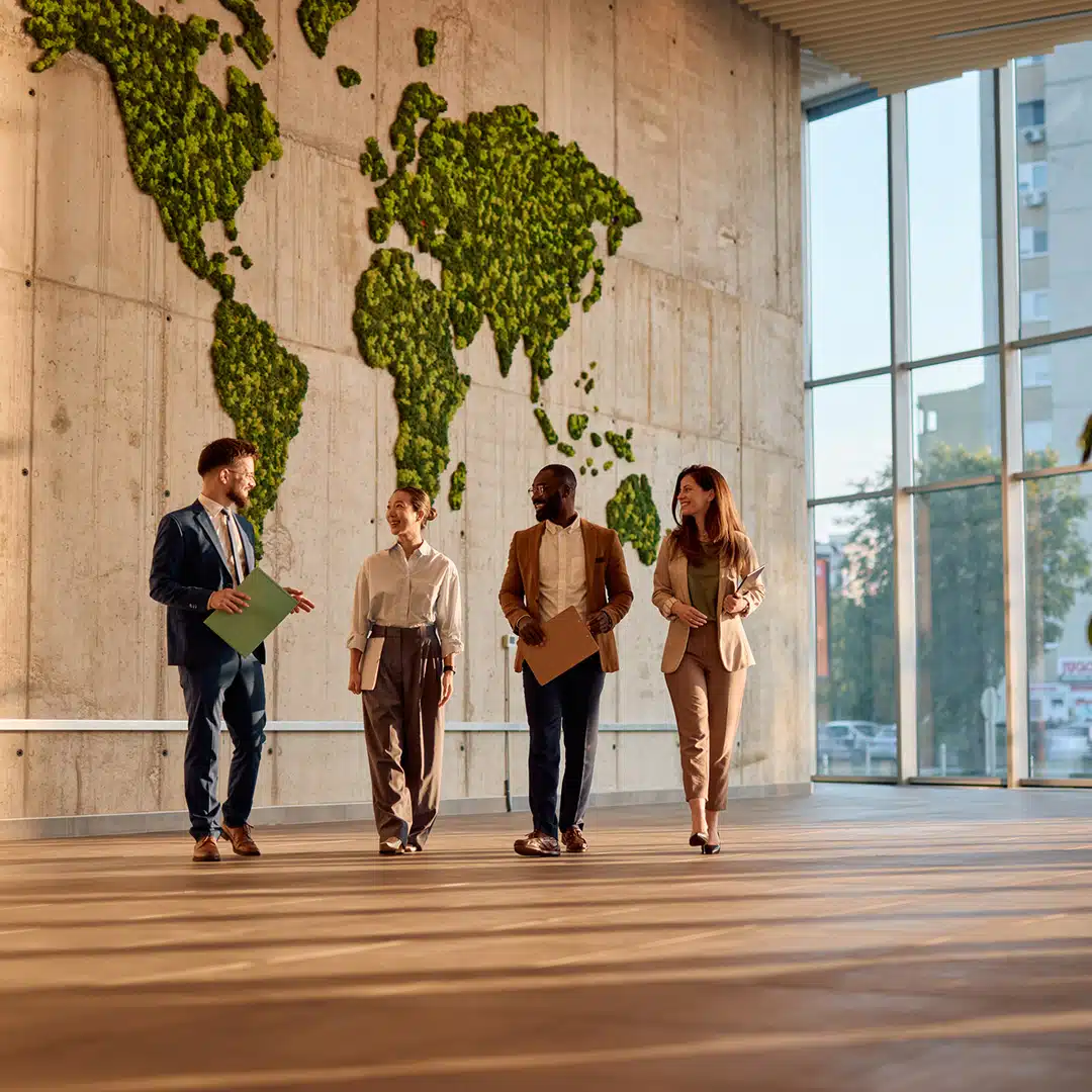 Unidades de negocio especializadas, nuestra faceta más global