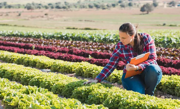 Nadie Audaz Ejemplo El desafío de conseguir una agricultura justa y sostenible