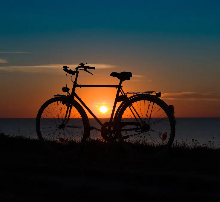 O treinamento do ciclismo de maneira profissional nunca foi tão fácil