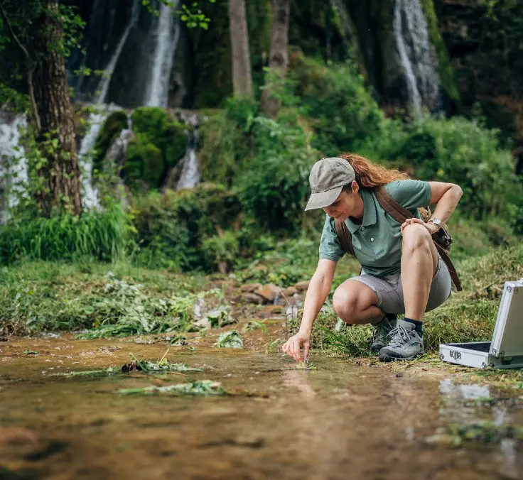 Edible forests: A solution to world hunger?