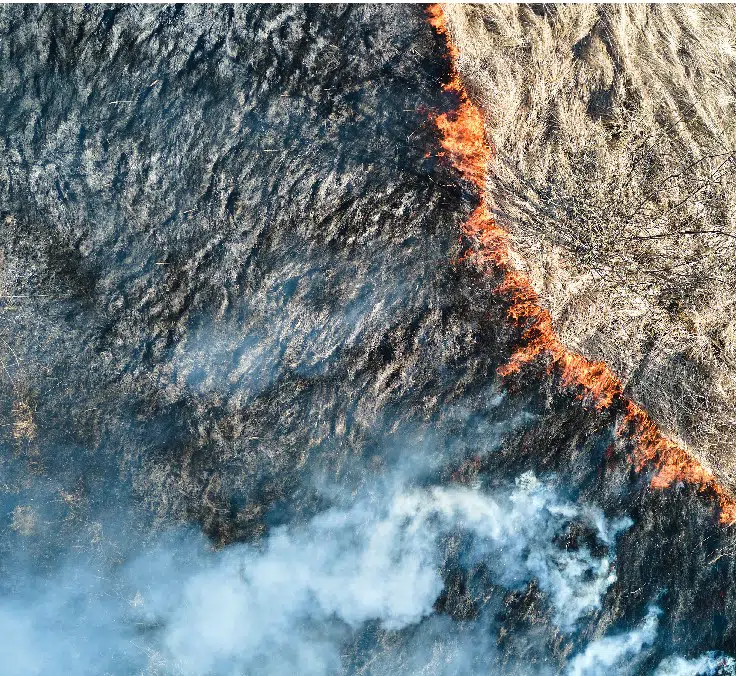 Os desastres naturais estão aumentando?