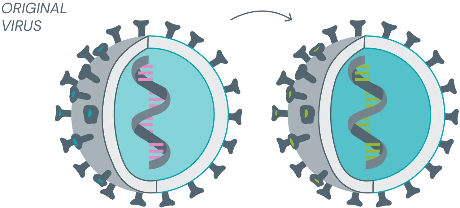 Mutation