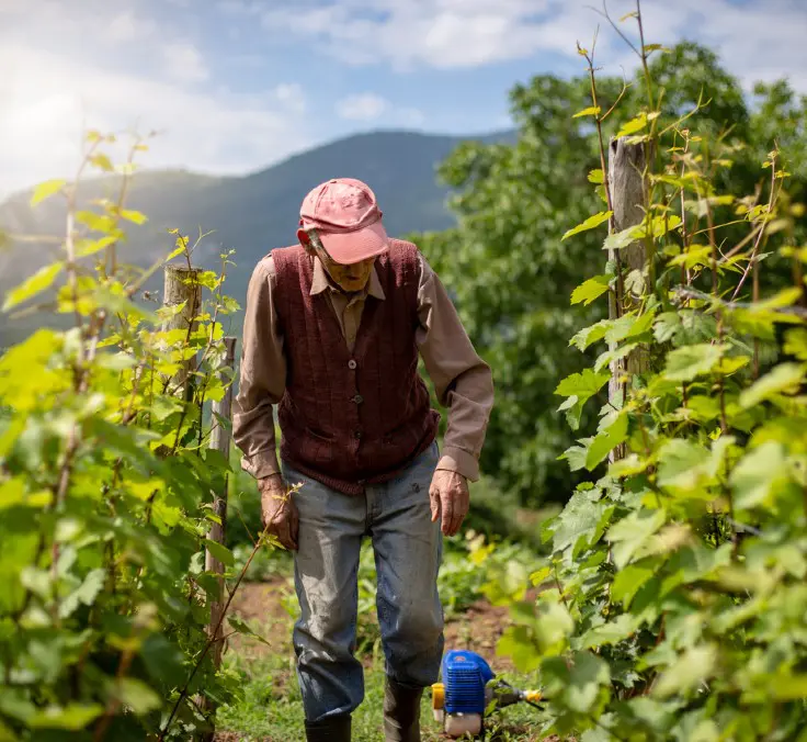 Why Should Rural Depopulation Be Avoided Why Should Rural Depopulation Be Avoided