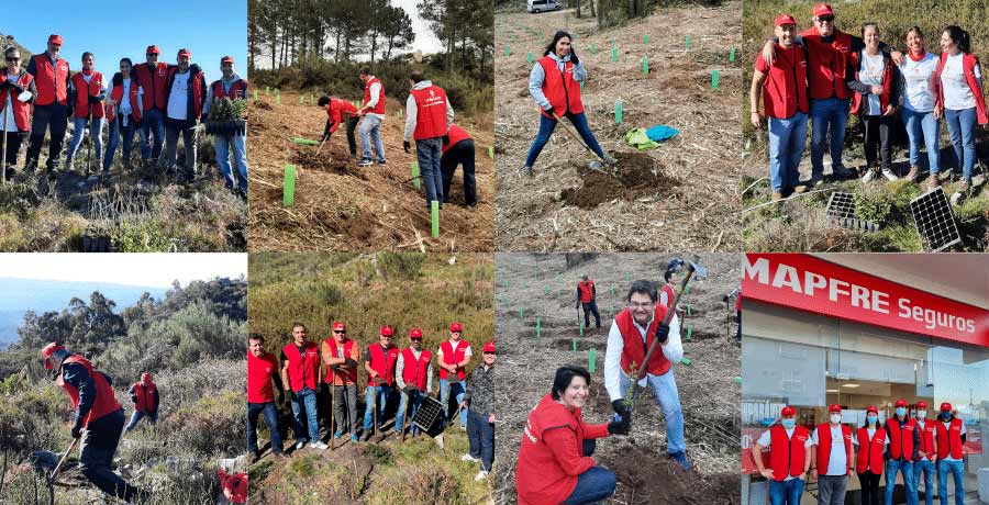 REFORESTACION