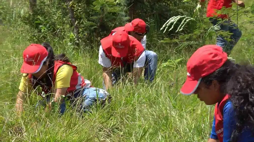 reforestación Honduras