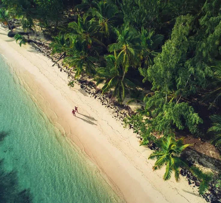 Opportunities and challenges for the insurance industry regarding the protection of SMEs in the Dominican Republic