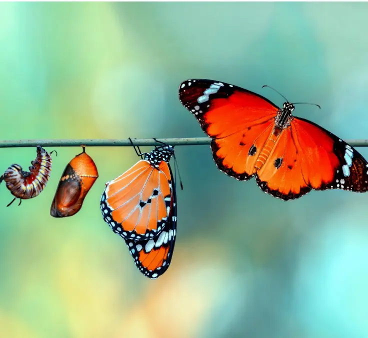 Insurance depends on recovery and is leveraged on digitization and sustainable transformation