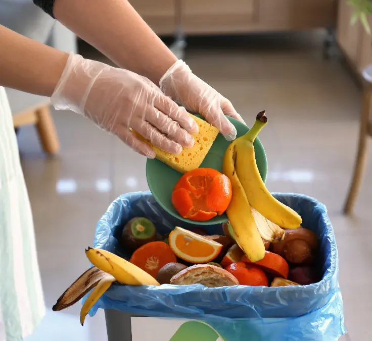 Se o desperdício de alimentos fosse um país, seria a terceira maior fonte de efeito estufa