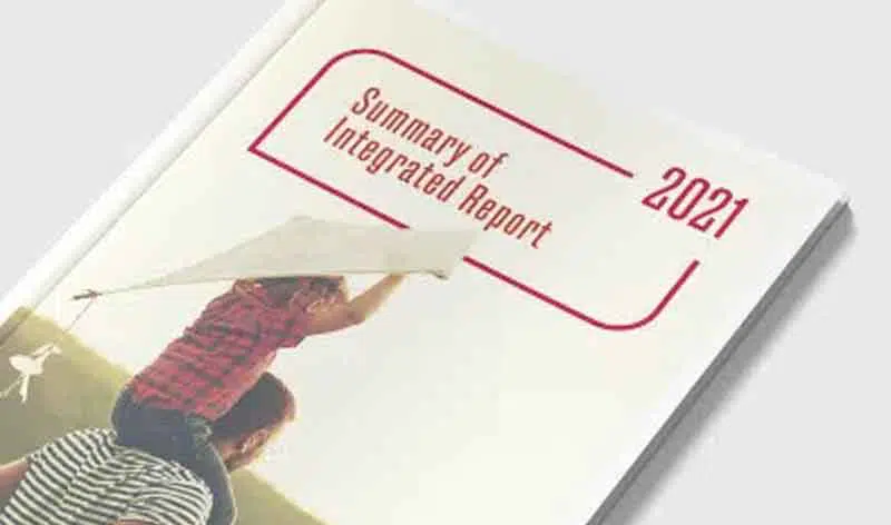 Summary of Integrated Report 2021