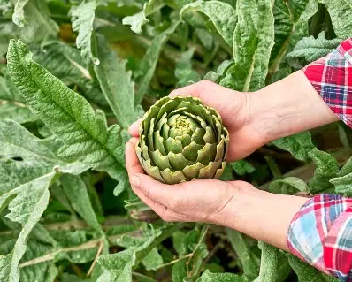 Actuamos para proteger nuestro planeta398 Actuamos para proteger nuestro planeta398