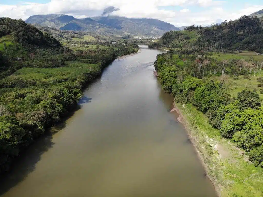 DEFORESTACIÓN BRASIL