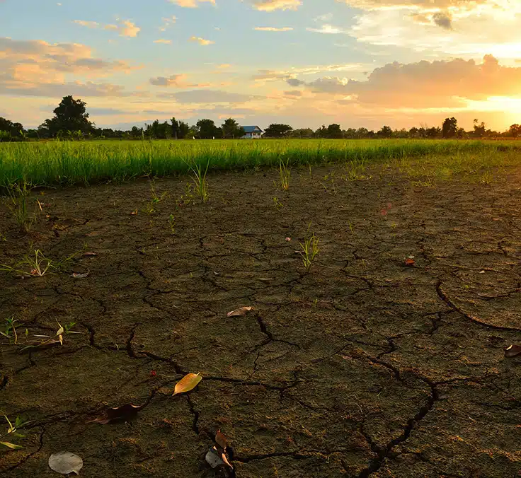 Imprevistos en el campo, ¿cómo abordarlos?