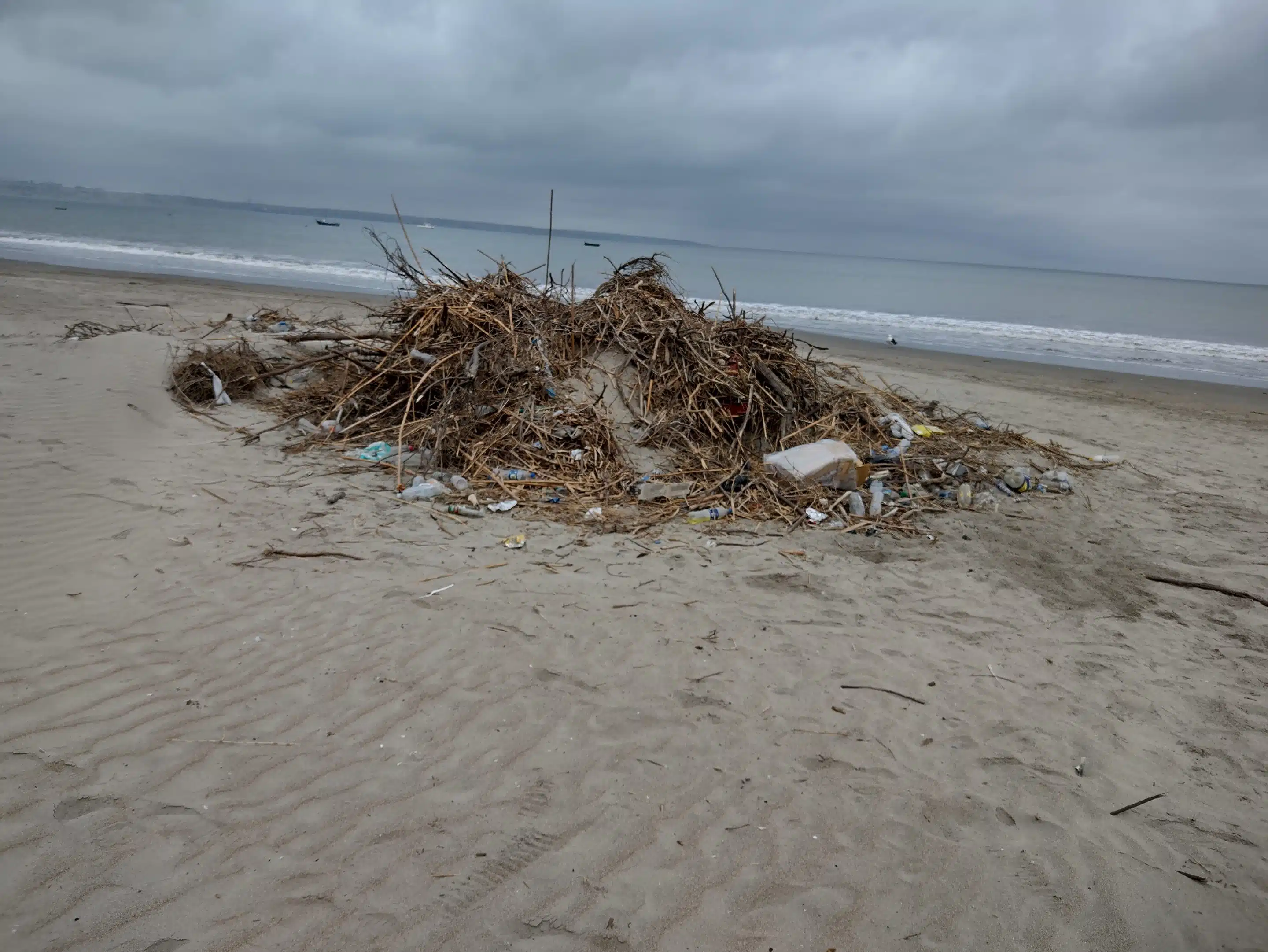 Limpieza playa Perú