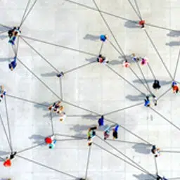 MICROSEGUROS 256 MICROSEGUROS 256