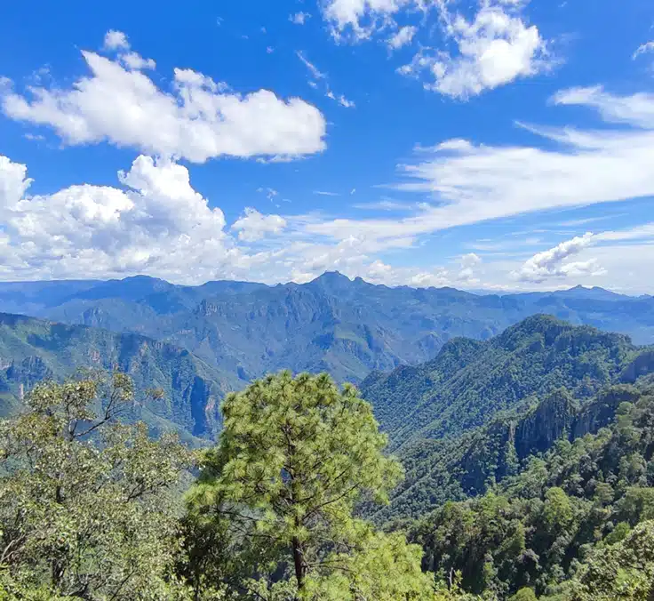 MÉXICO