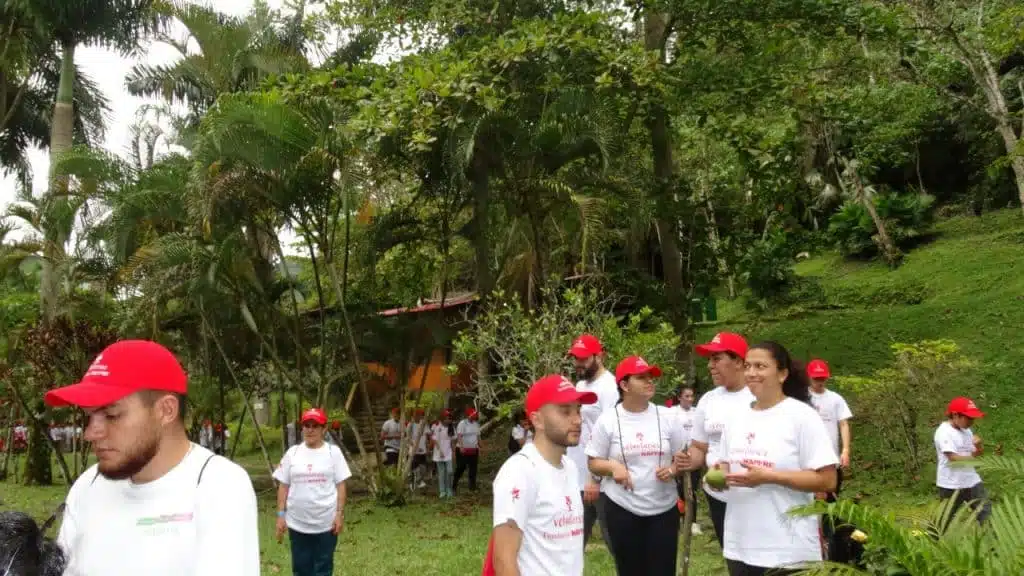 BOSQUE MAPFRE NICARAGUA