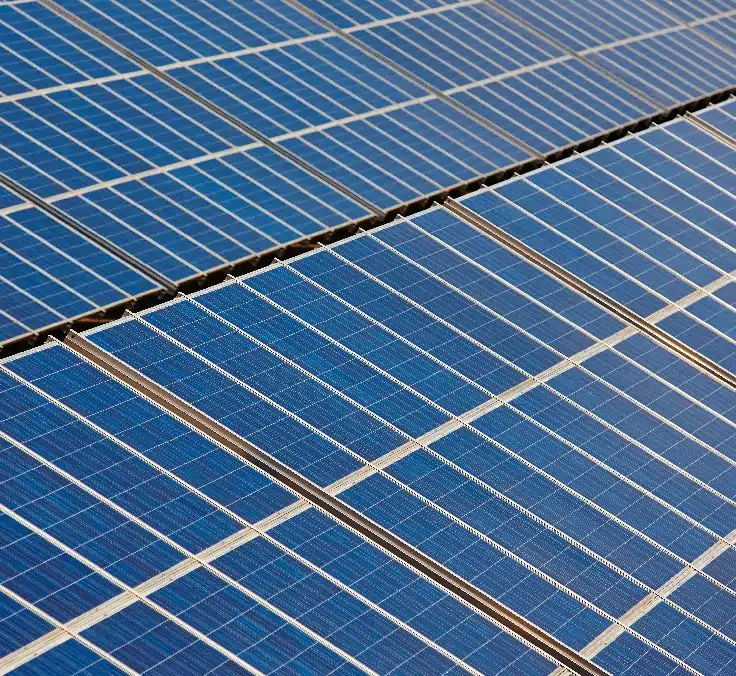 MAPFRE reduce su huella de carbono global