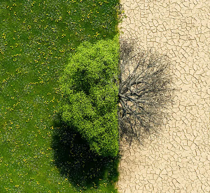 Cambio climático Cambio climático