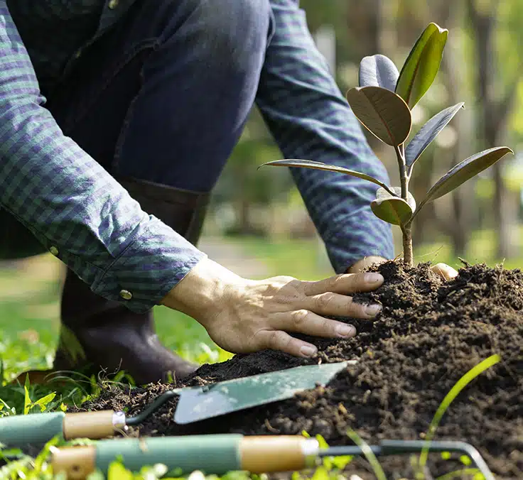 MAPFRE offsets 24,299 tons of CO2e in 2023 through reforestation and nature preservation projects
