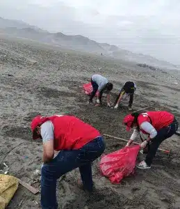 Limpeza de espaços naturais